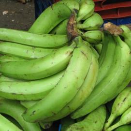 unripe-plantain